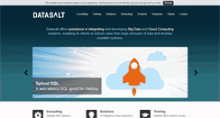 Desktop Screenshot of datasalt.com