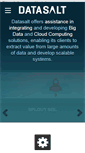Mobile Screenshot of datasalt.com