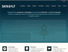 Tablet Screenshot of datasalt.com